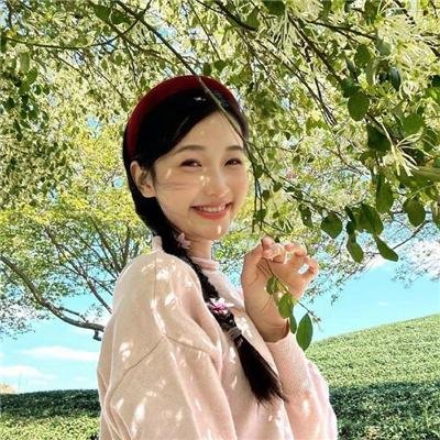 监察局长
