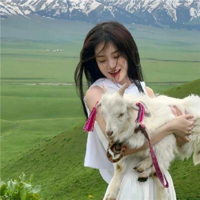 屏风美人